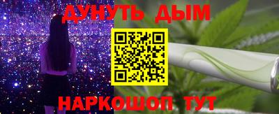 spice Гатчина